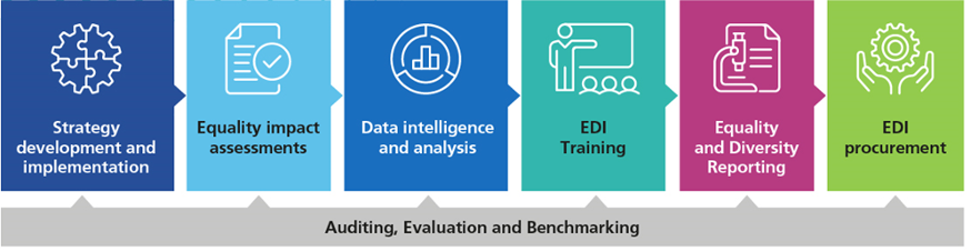 Infographic showing six steps:  Strategy development and implementation
Equality impact assessments
Data intelligence and analysis
EDI training
Equality and diversity reporting
EDI procurement
With a grey bar below labelled: Auditing, Evaluation and Benchmarking.